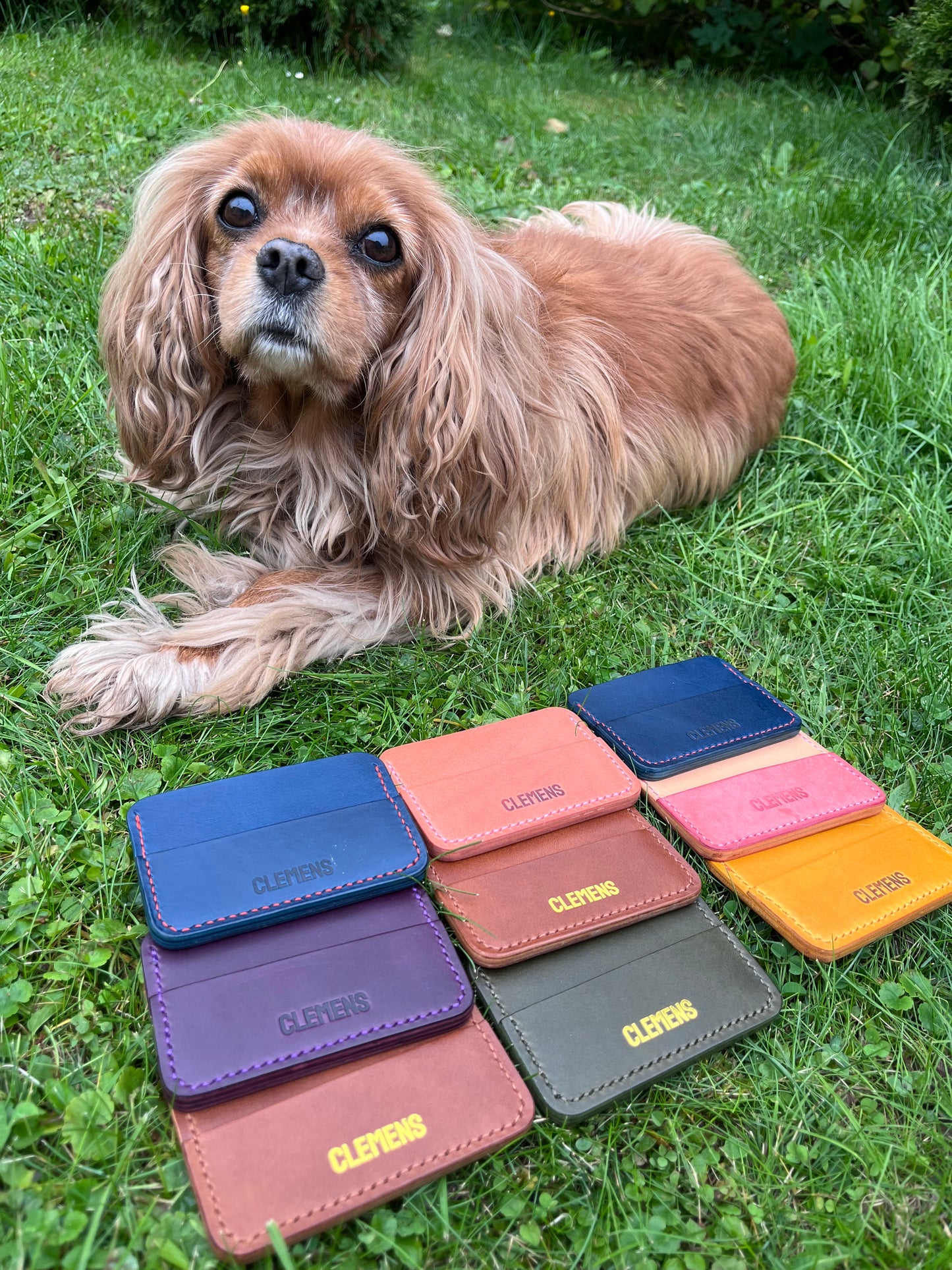 CLEMENS Classic Purple